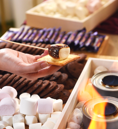 S'mores Bar